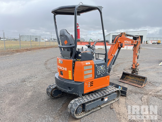 hikozawa Hitachi ZX17 2024 (Choice of 4) - AJ & MJ Plant Sales