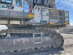 General Appearance with Paint