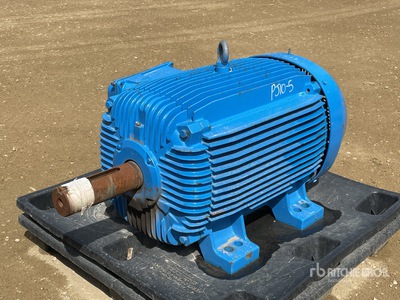 Weg W21 Electric Motor