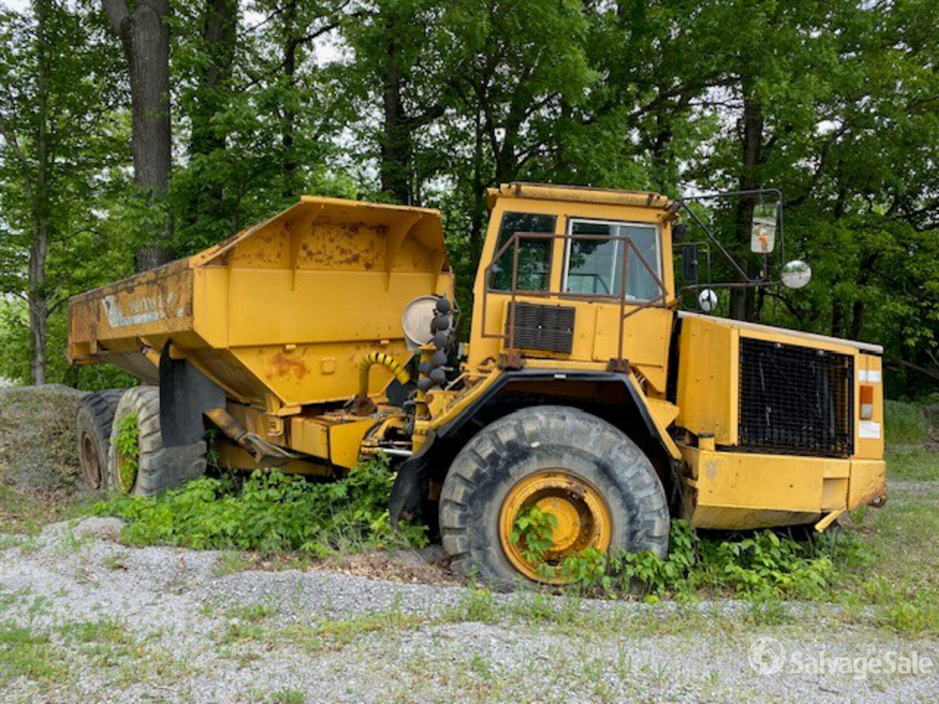 Volvo A35 Articulated Dump Truck in Cypress, Illinois