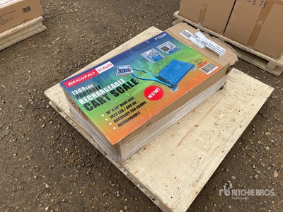 WeighPro Scales PTS600 1300 lb Portable Rechargeable Cart Scale
