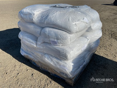 Quantity of (20) Crested Wheat Grass