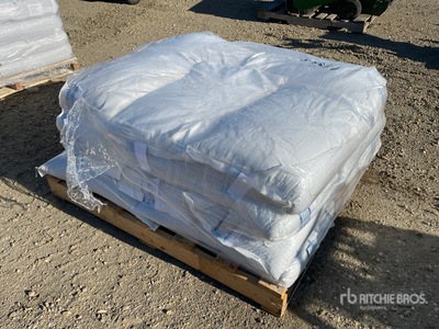 Quantity of Alske Clover Aurora