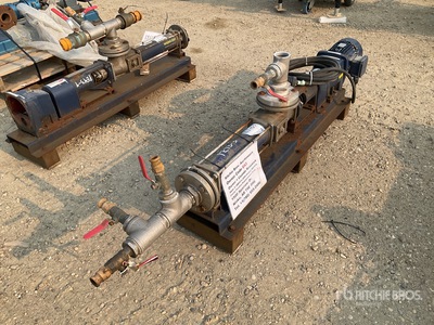 2008 Seepex NS10-6L Cavity Positive Displacement Pump
