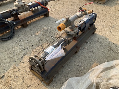 2008 Seepex NS10-6L Cavity Positive Displacement Pump