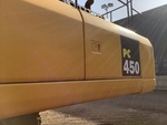 General Appearance with Paint