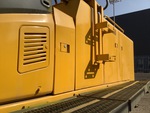 General Appearance with Paint