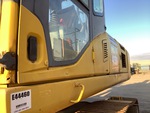 General Appearance with Paint