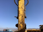 v2 Chassis - Excavator with