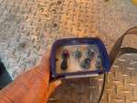 Chassis with Remote Control