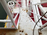 General Appearance with Steps/Ladders