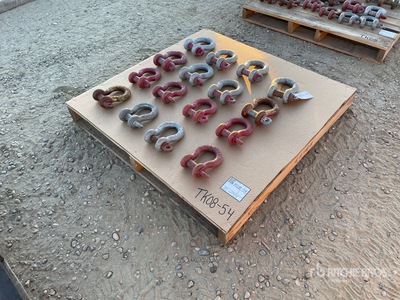 Quantity of Crosby Shackle