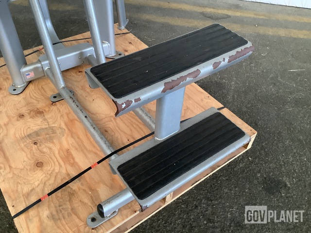 surplus-cybex-17141-dip-chin-exercise-machine-in-kapolei-hawaii