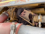 Engine with Exhaust System