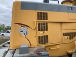 General Appearance with Pintura