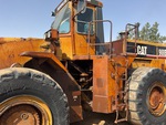General Appearance with Pintura