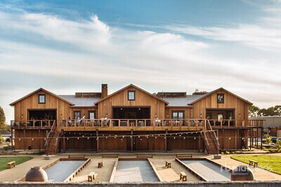Upland Bird Experience at Wing & Barrel Ranch & Lunch for Four with Sal Coniglio
