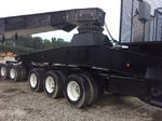 General Appearance with Paint