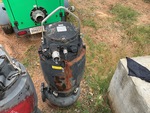 Picture, Left Rear Corner