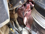Engine with Exhaust System