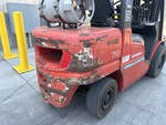 General Appearance with Paint