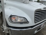 General Appearance with Paint