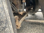 Chassis with Lenkgestänge