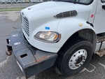General Appearance with Paint