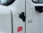 General Appearance with Paint