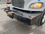 General Appearance with Paint
