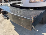 General Appearance with Paint