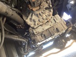 Underbody with Transmission
