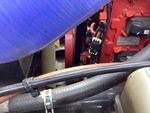Engine with Oil Leaks