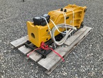 Picture, Left Rear Corner