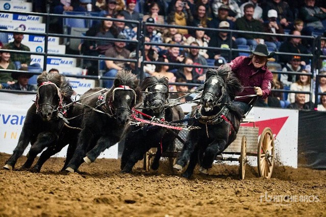 Mini Chuckwagon Team - Clayton Hawreluik Varios, Ganado | Ritchie Bros ...