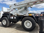 General Appearance with Paint
