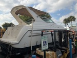 Picture, Right Rear Corner