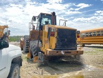 Picture, Left Rear Corner