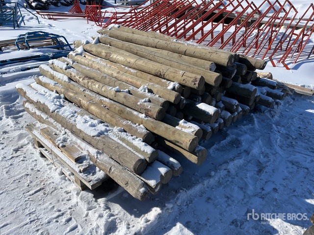 Quantity of Approx. (95) 6 ft Treated Fence Post | Ritchie Bros ...