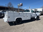 Picture, Right Rear Corner