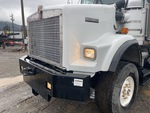 General Appearance with Pintura