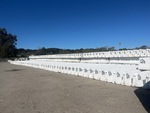 Picture, Left Rear Corner