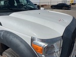 General Appearance with Paint