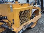 General Appearance with Paint