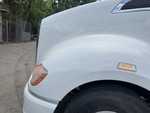 General Appearance with Paint
