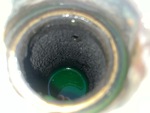 Engine with Radiator