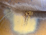 General Appearance with Sheet Metal (fiberglass) Condition