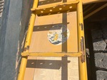 General Appearance with Paint