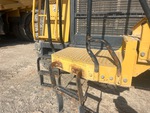 General Appearance with Paint
