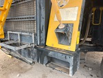 General Appearance with Paint